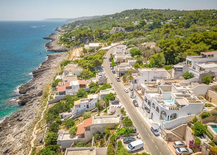 Marinaia Archi *